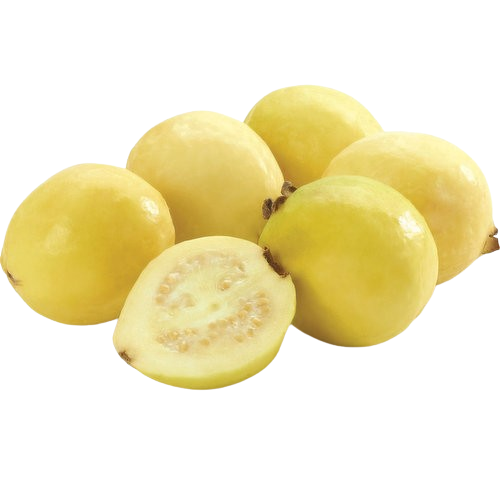 Guava